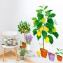 Sale! Stickere decorative, Portocale copac/lămâie copac/lavandă, Verde/portocaliu/mov, 83x97 cm, ASXH9304